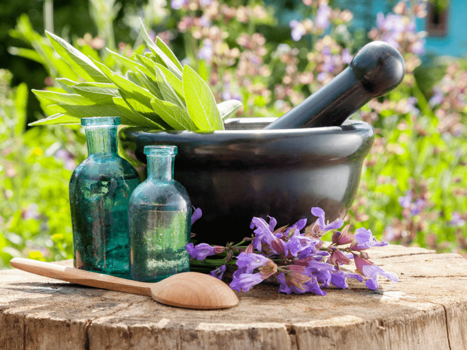 Herbes pour bains curatifs pour l'ostéochondrose